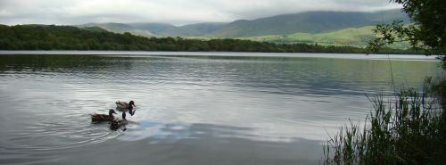 Bassenthwaite Lake District