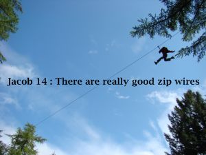 go ape whinlatter